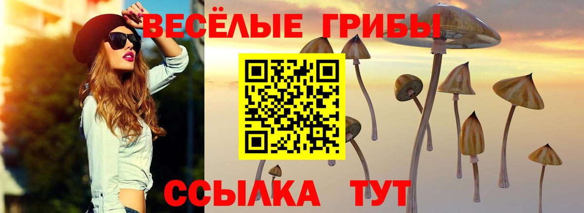 Псилоцибиновые грибы мухоморы  Вход с VPN  Ишимбай  Псилоцибиновые грибы ЛСД 